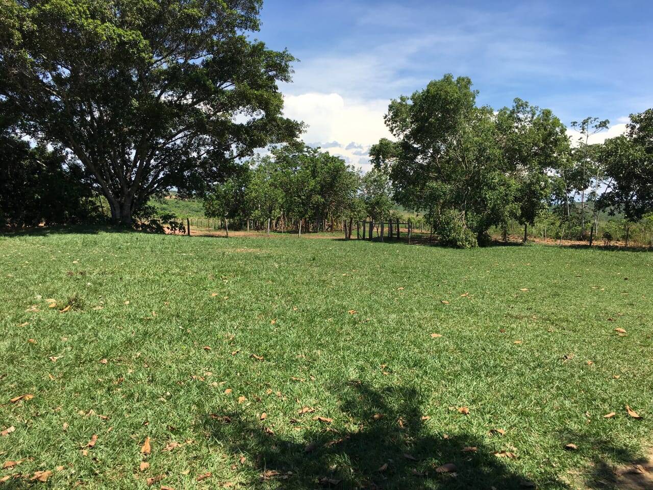 Terreno, 184 m² - Foto 12