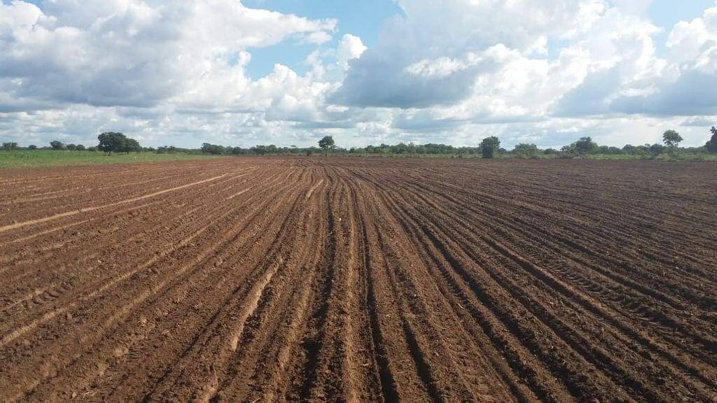 Terreno, 250 m² - Foto 31