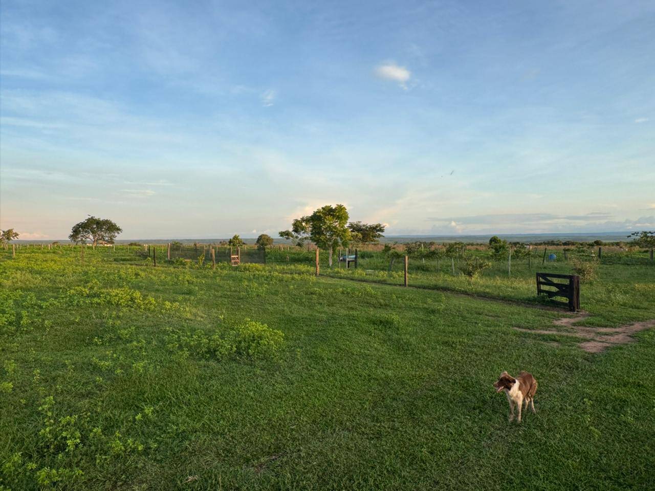 Terreno, 400 m² - Foto 7
