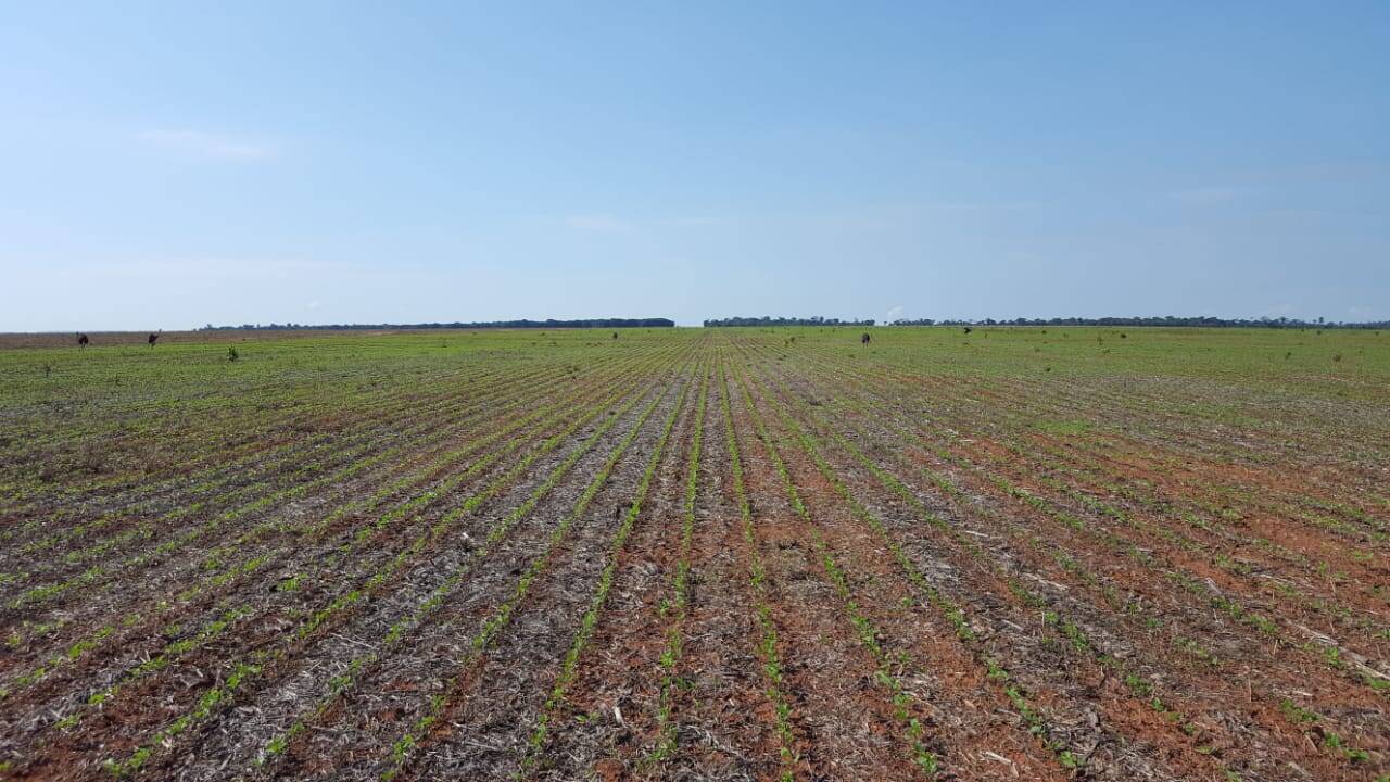 Terreno, 4600 m² - Foto 3