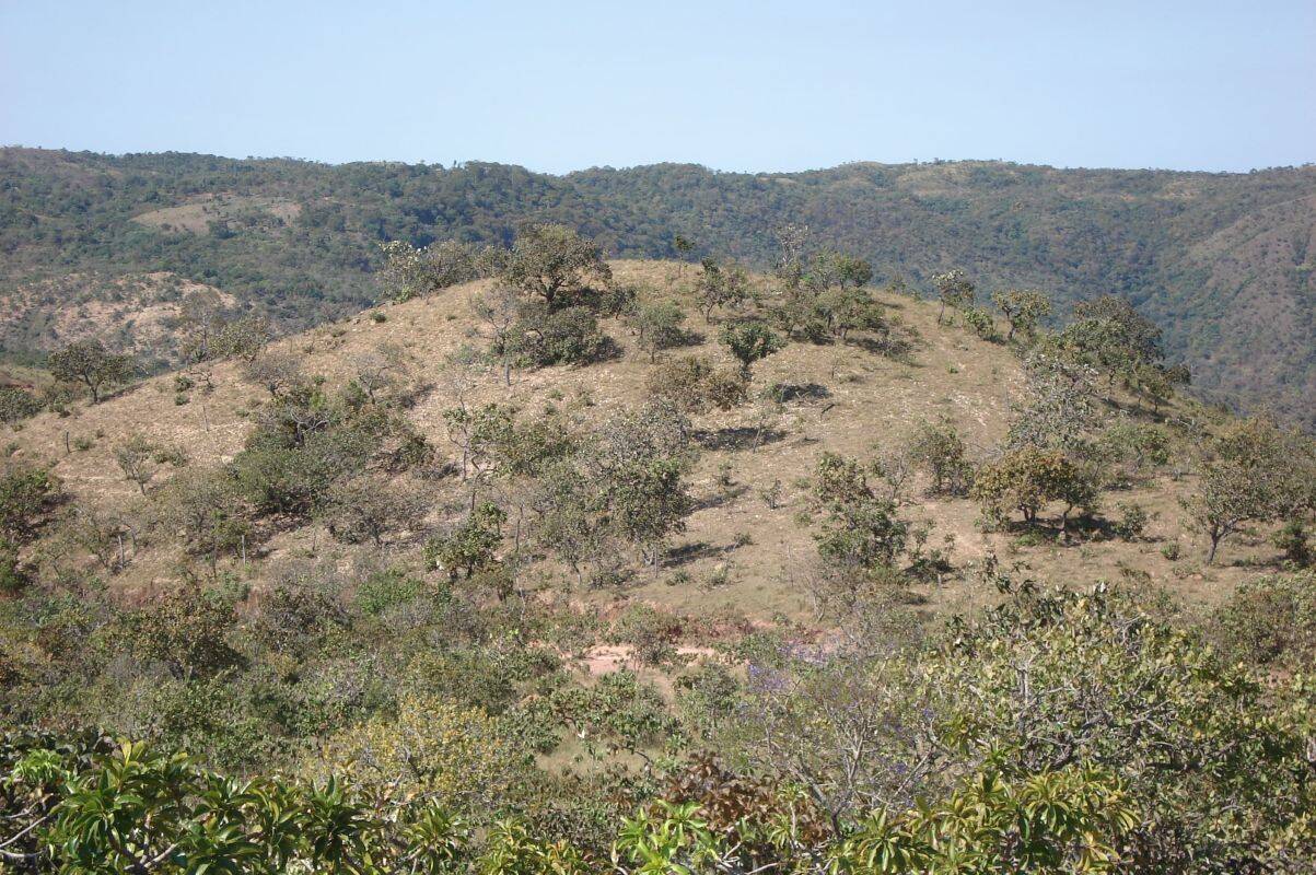 Terreno, 232 m² - Foto 6