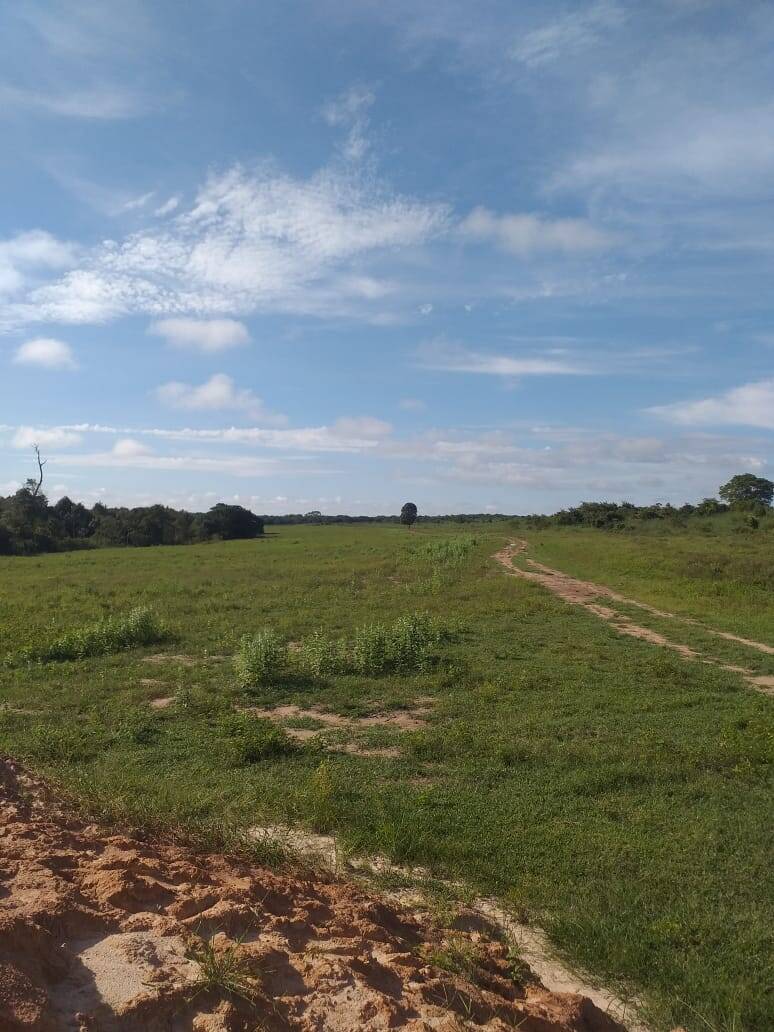 Terreno, 670 m² - Foto 5