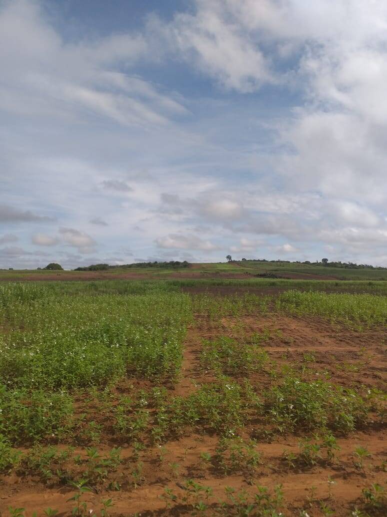 Terreno, 670 m² - Foto 9