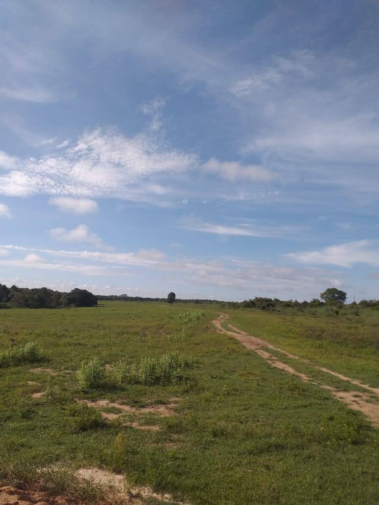 Terreno, 670 m² - Foto 14