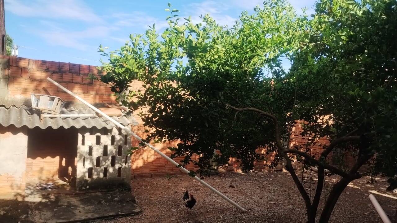 Casa, 2 quartos, 60 m² - Foto 6