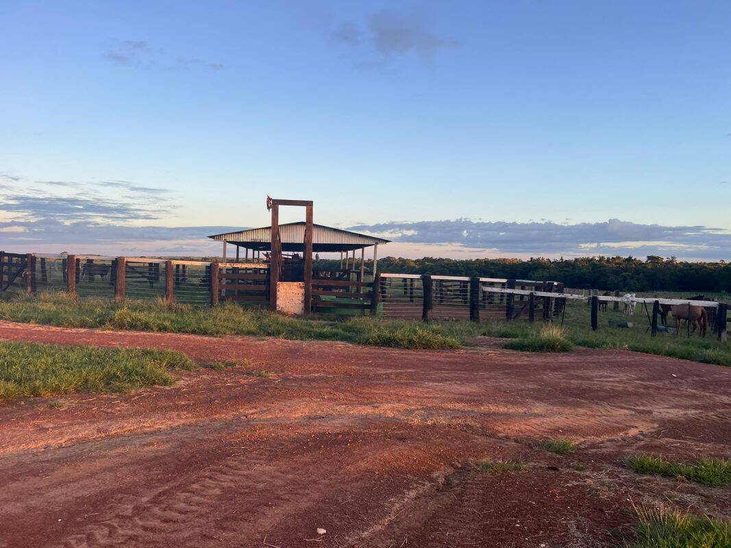 Terreno, 1250 m² - Foto 1