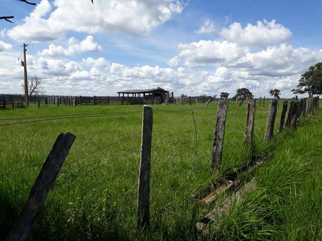 Terreno, 115 hectares - Foto 6