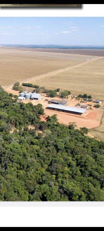Terreno, 5000 m² - Foto 1