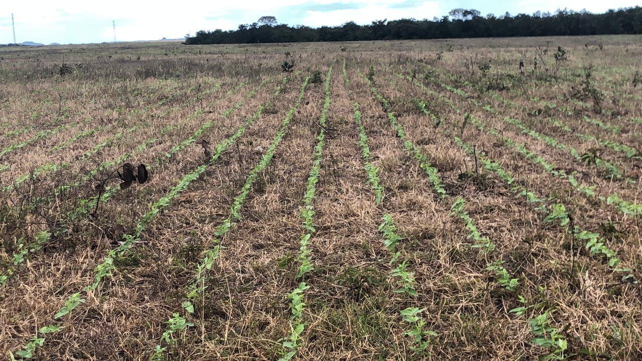 Fazenda, 370 m² - Foto 4