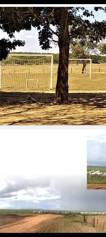 Terreno, 5000 m² - Foto 3
