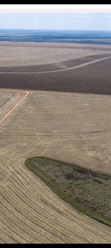 Terreno, 5000 m² - Foto 4