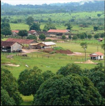 Fazenda, 14952 hectares - Foto 4