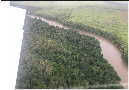 Fazenda, 14952 hectares - Foto 9