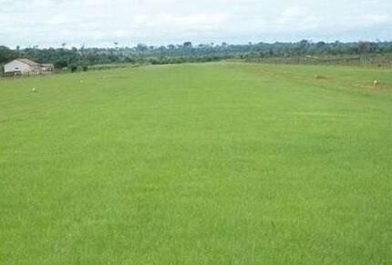 Fazenda, 14952 hectares - Foto 10