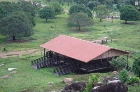 Fazenda, 14952 hectares - Foto 18