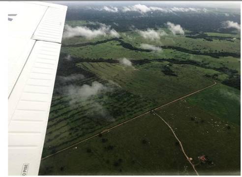 Fazenda, 14952 hectares - Foto 20
