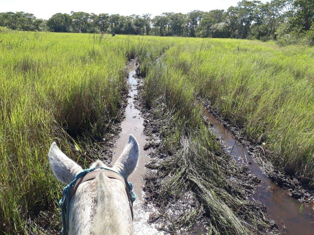 Fazenda, 342 hectares - Foto 1