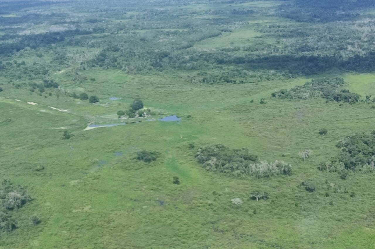 Fazenda, 342 hectares - Foto 6