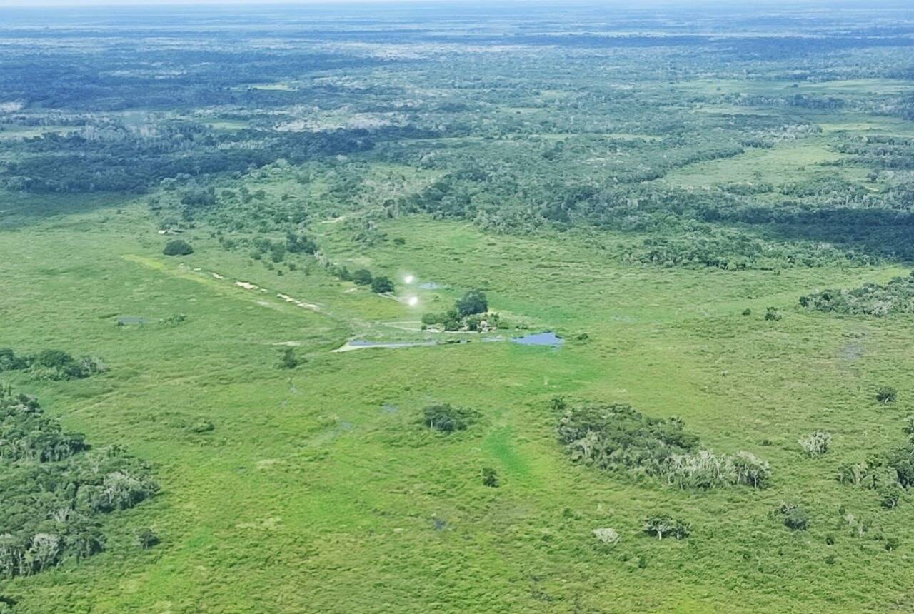 Fazenda, 342 hectares - Foto 7