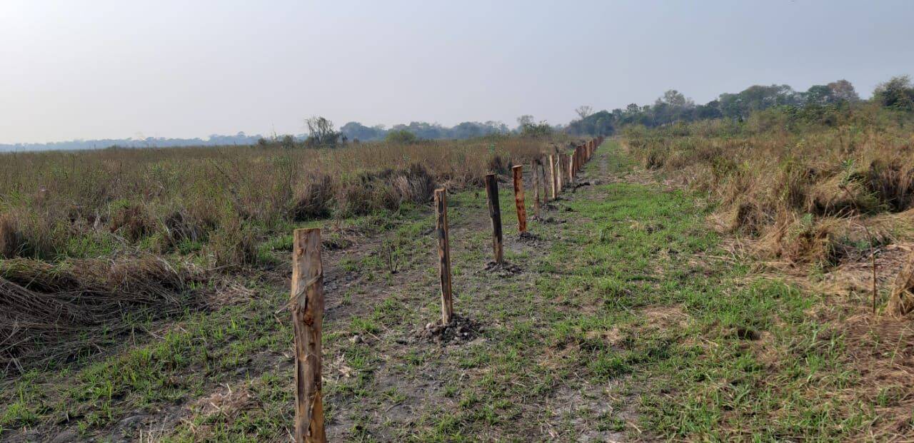 Fazenda, 342 hectares - Foto 8