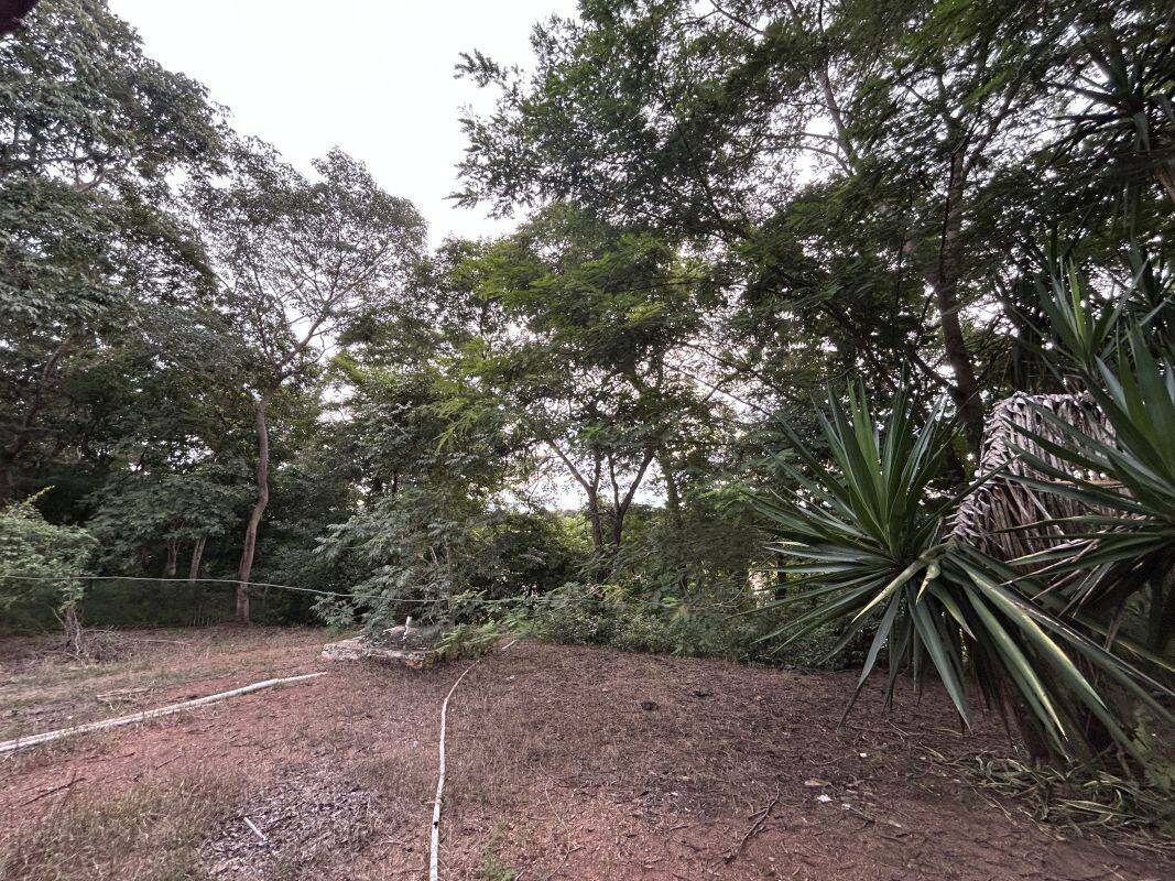 Sítio, 3 quartos, 20 m² - Foto 10