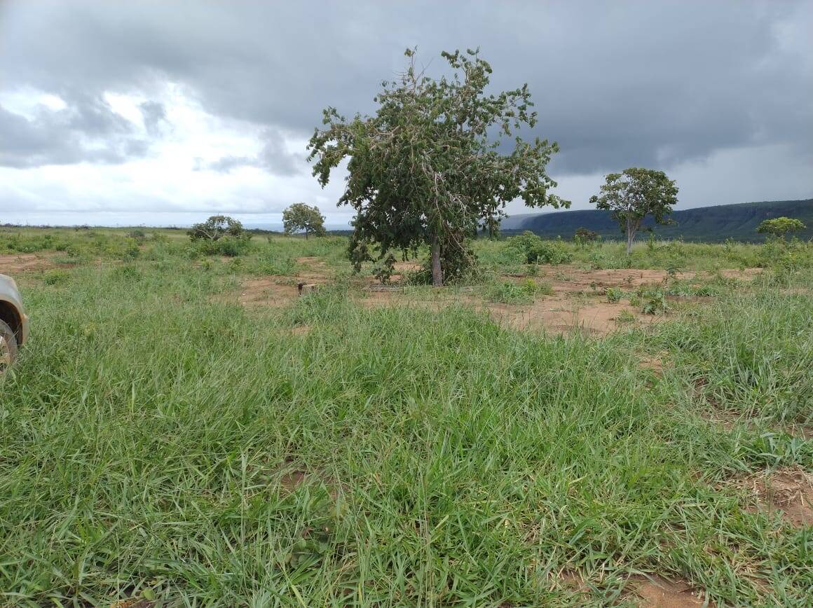 Fazenda, 2500 m² - Foto 1