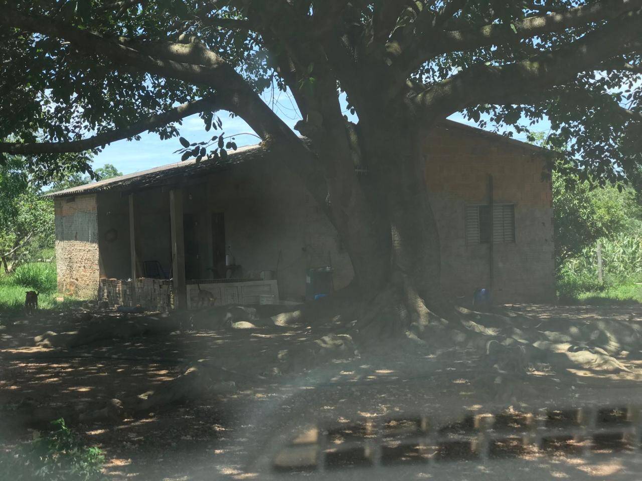 Sítio, 3 quartos, 39 m² - Foto 13