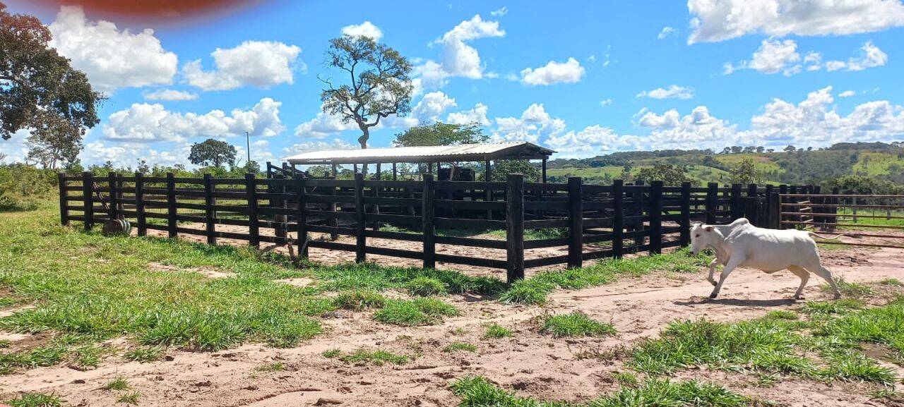 Fazenda, 589 m² - Foto 5