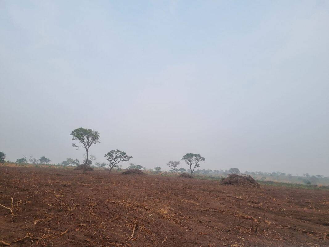Fazenda, 589 m² - Foto 7