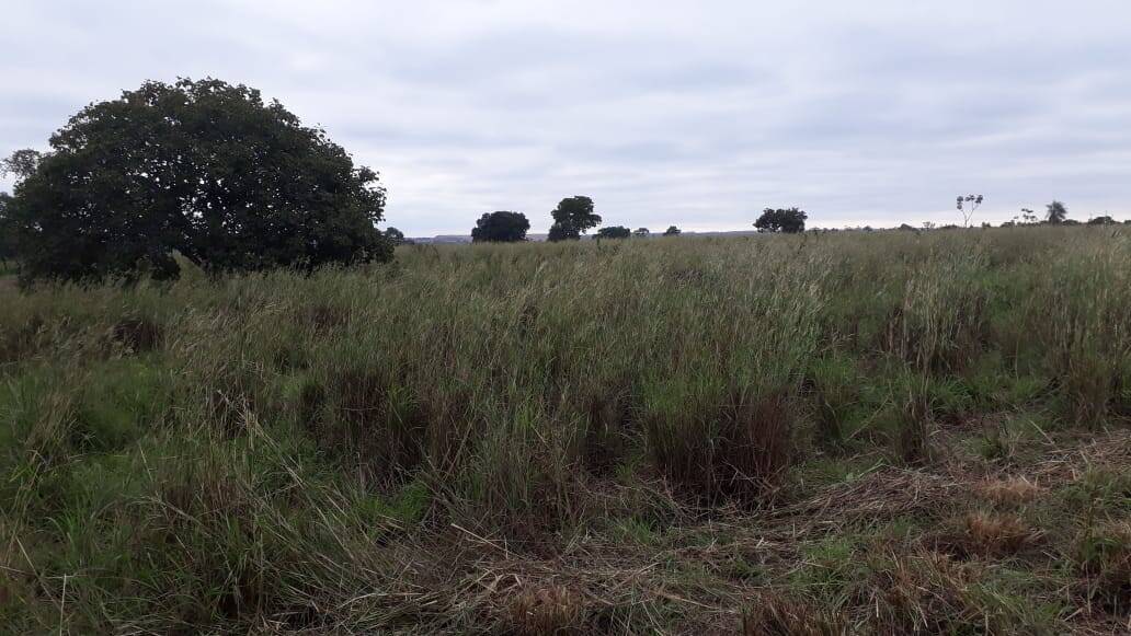 Terreno, 2898 m² - Foto 13
