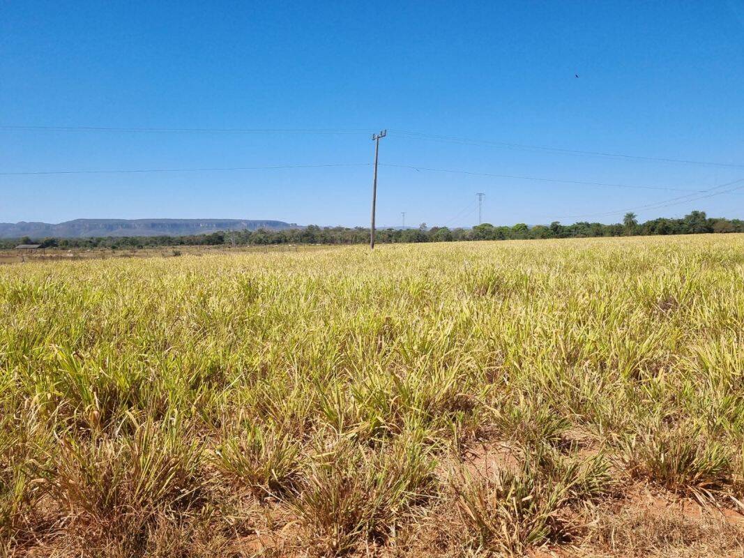 Fazenda, 2000 m² - Foto 1