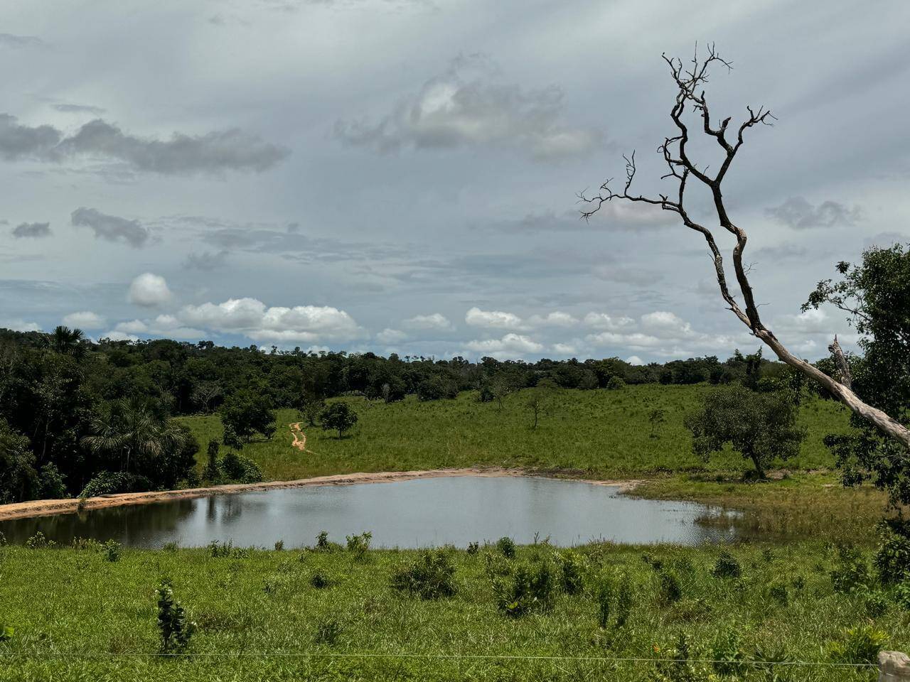 Fazenda, 1936 m² - Foto 5