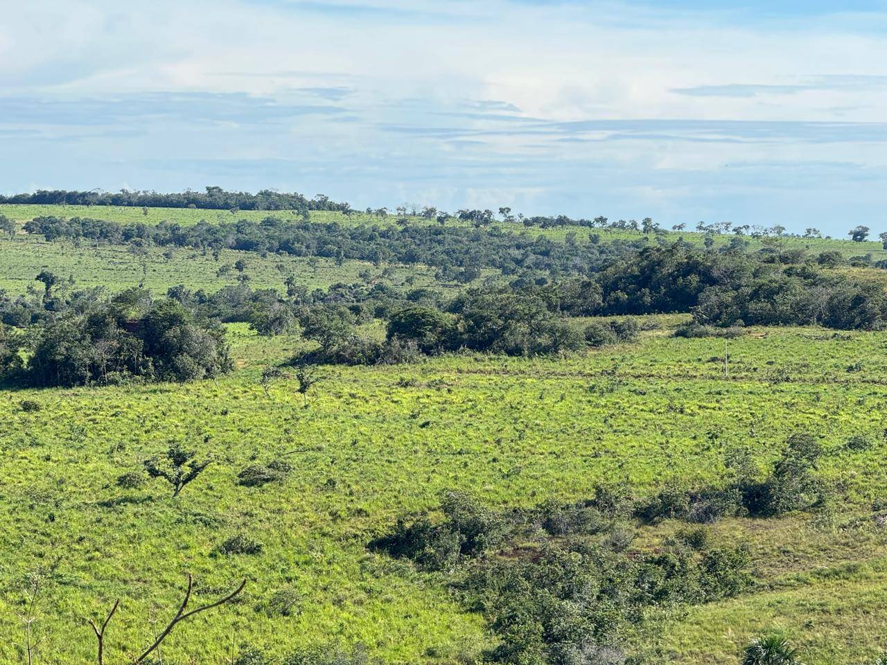 Fazenda, 1936 m² - Foto 6