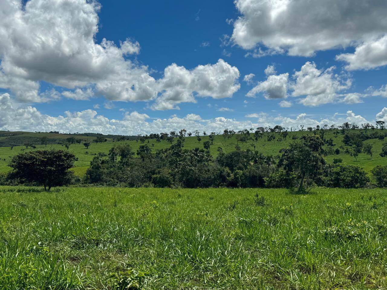 Fazenda, 1936 m² - Foto 18