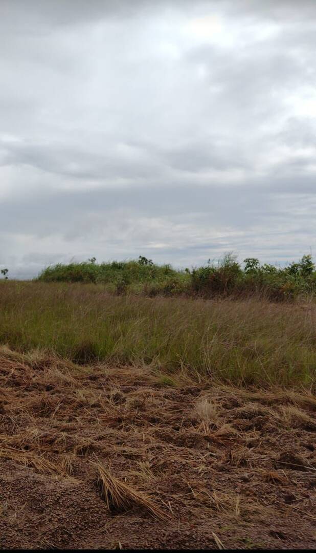 Terreno, 1103 m² - Foto 6