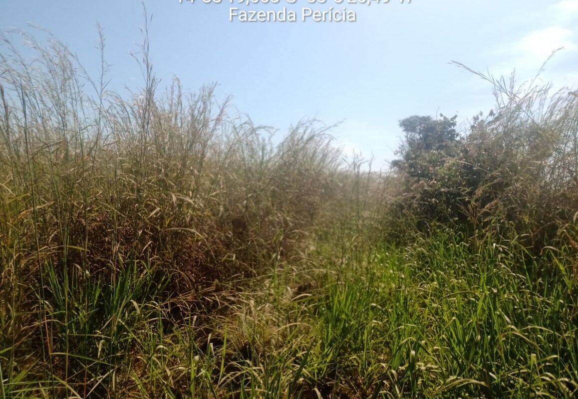 Terreno, 1103 m² - Foto 10
