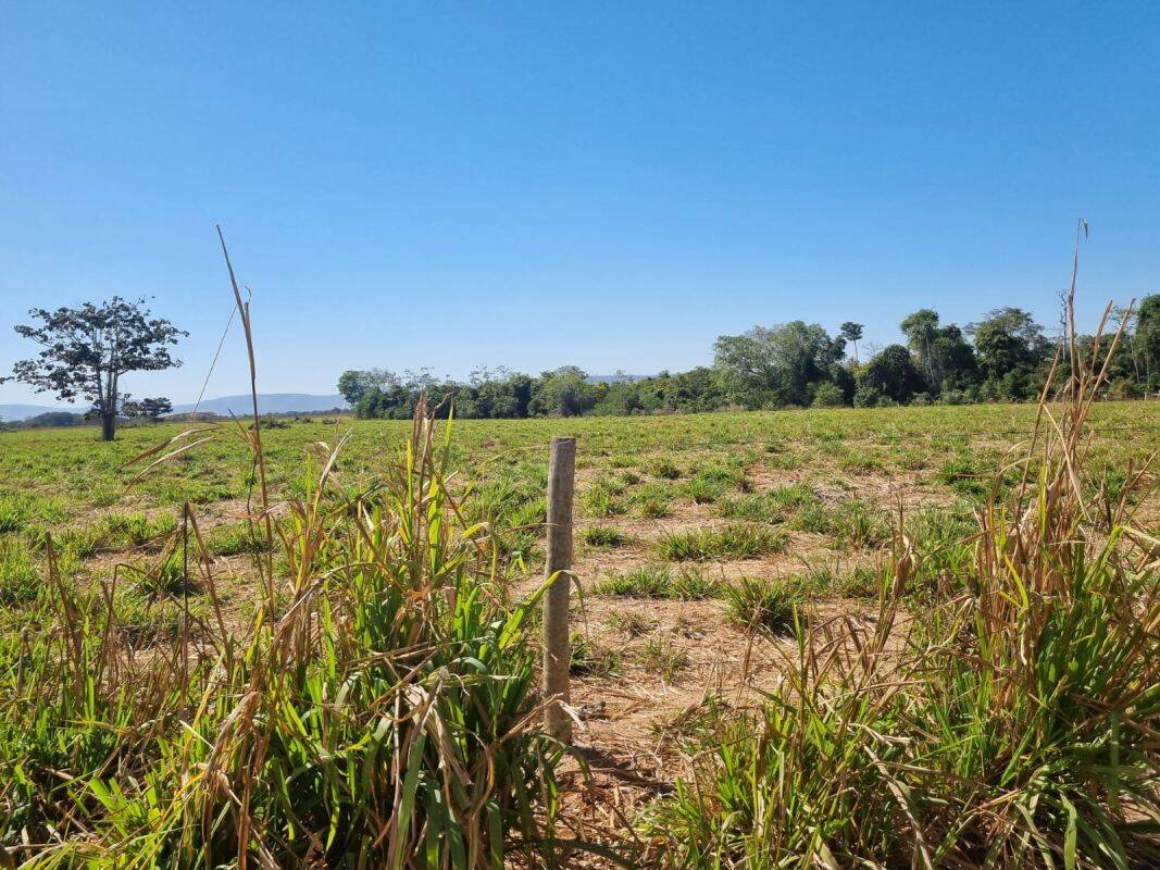 Fazenda, 2000 m² - Foto 8