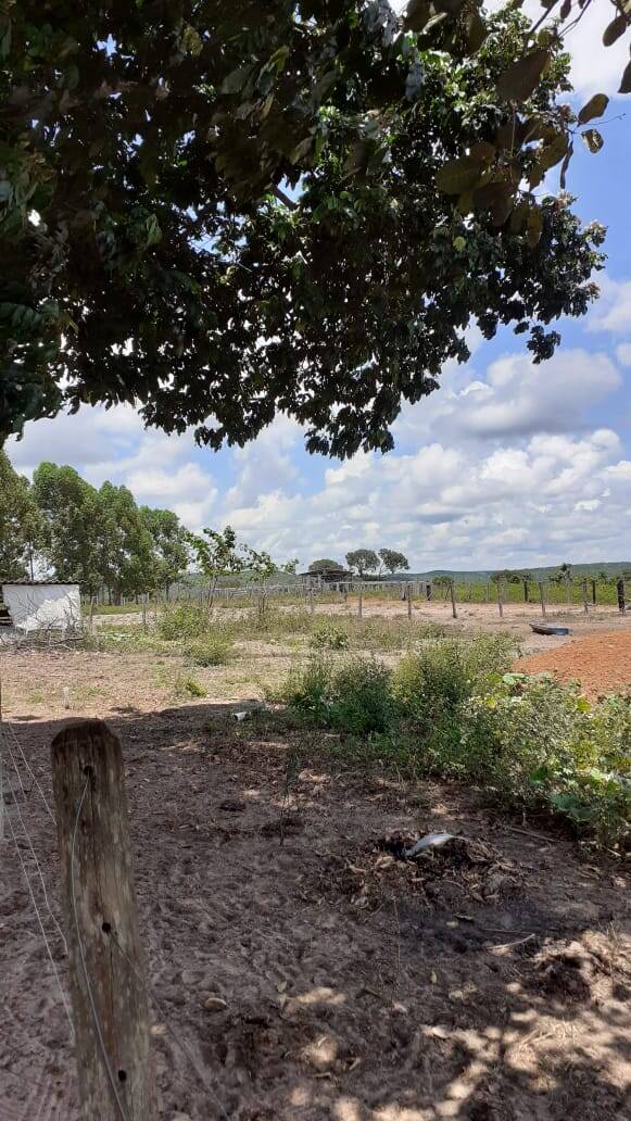 Terreno, 3140 m² - Foto 8