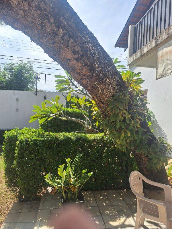 Casa, 4 quartos, 325 m² - Foto 8