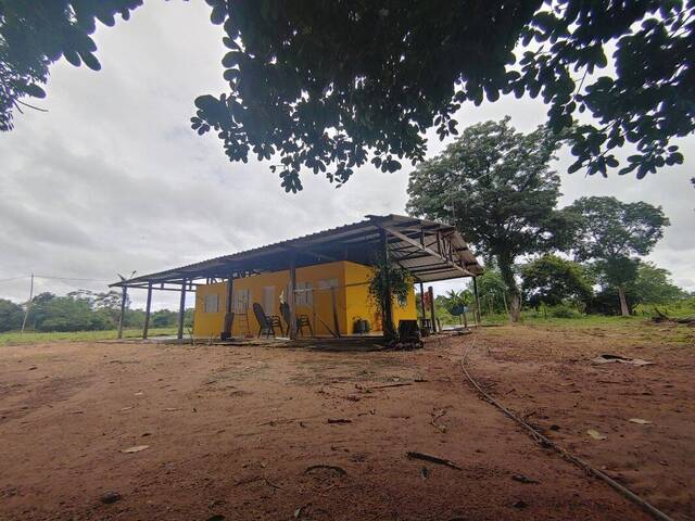 para em - 3