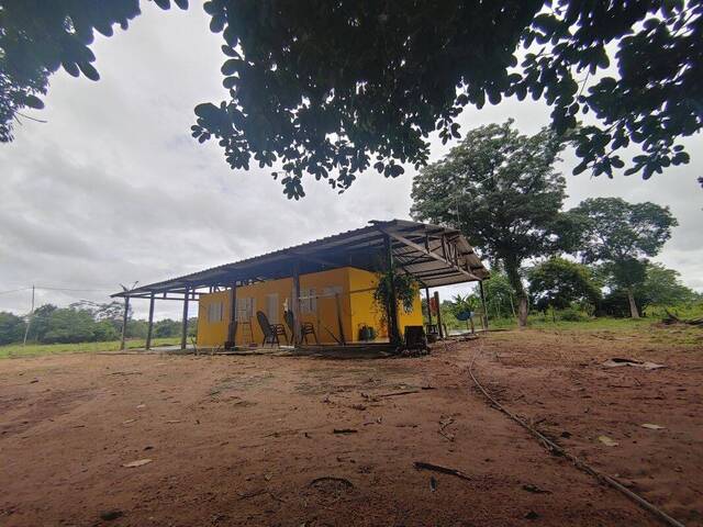  para  em  - 5