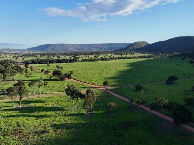 Fazenda para Venda em Cáceres - 2