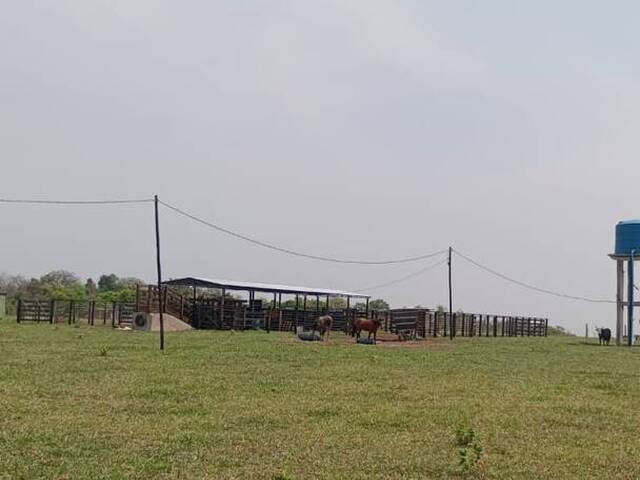 para em - 3