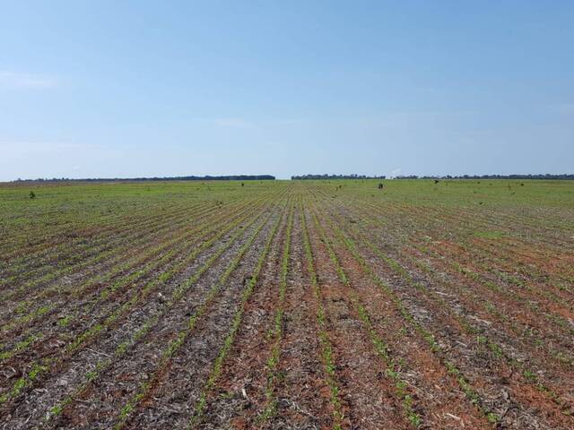 Fazenda para Venda em Gaúcha do Norte - 3