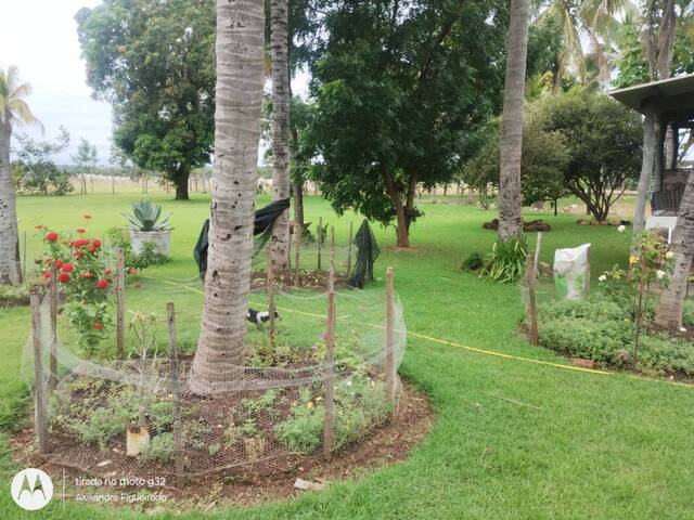 Fazenda para Venda em Acorizal - 3