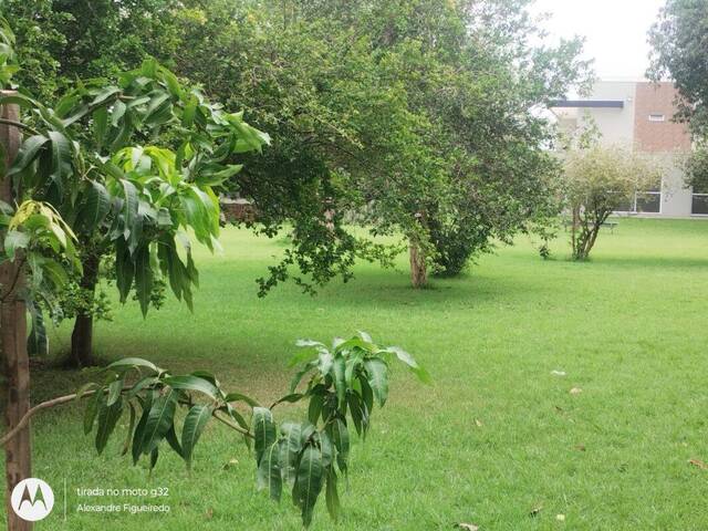Fazenda para Venda em Acorizal - 4