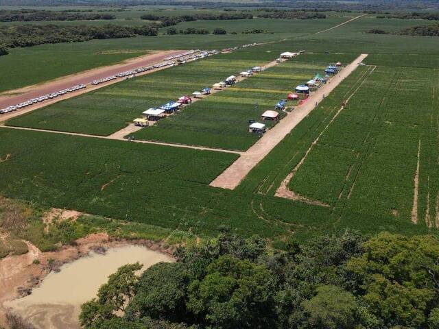#10037 - Fazenda para Venda em Paranatinga - MT - 3