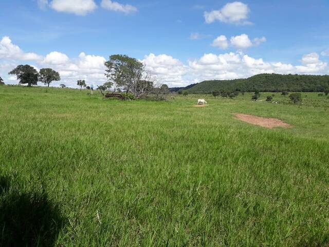 #10050 - Fazenda para Venda em Novo São Joaquim - MT - 2