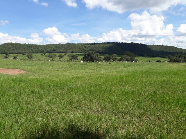 #10050 - Fazenda para Venda em Novo São Joaquim - MT - 3