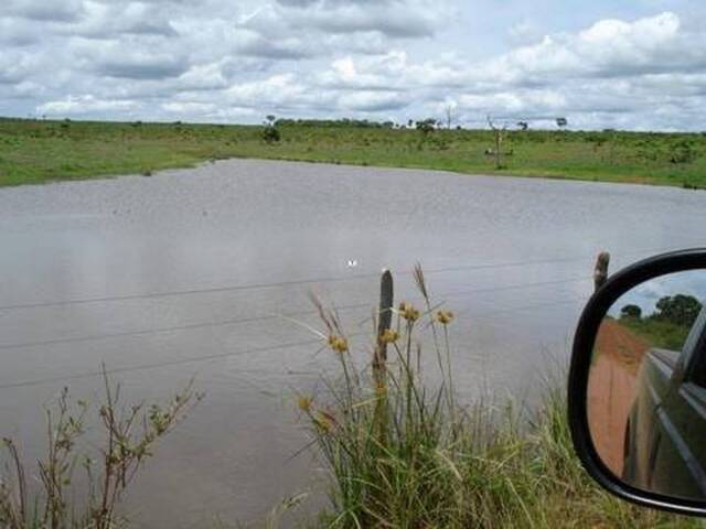 #10059 - Fazenda para Venda em Rondolândia - MT - 2